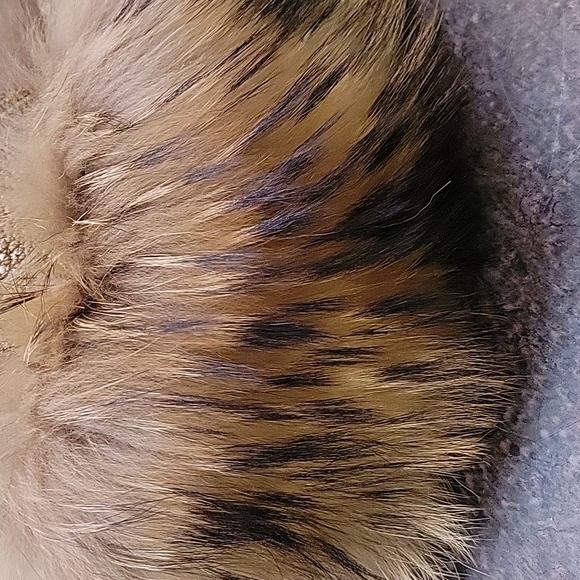 KŌKIN Fur Trapper Hat - Picture 10 of 11